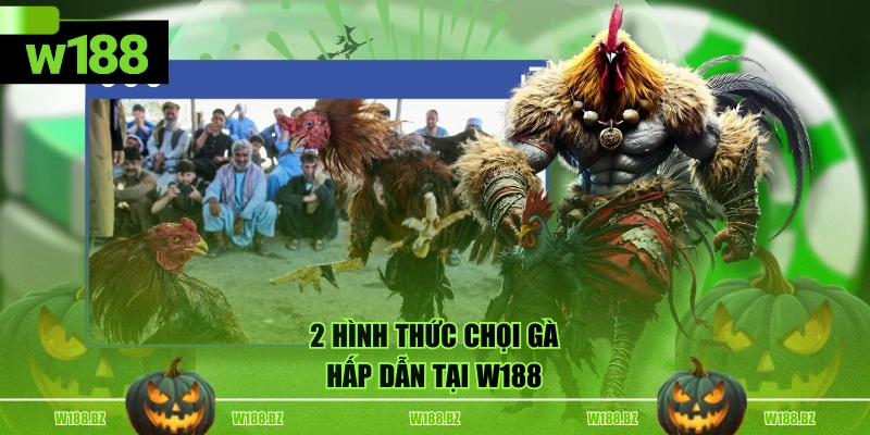 2 hình thức chọi gà hấp dẫn tại W188