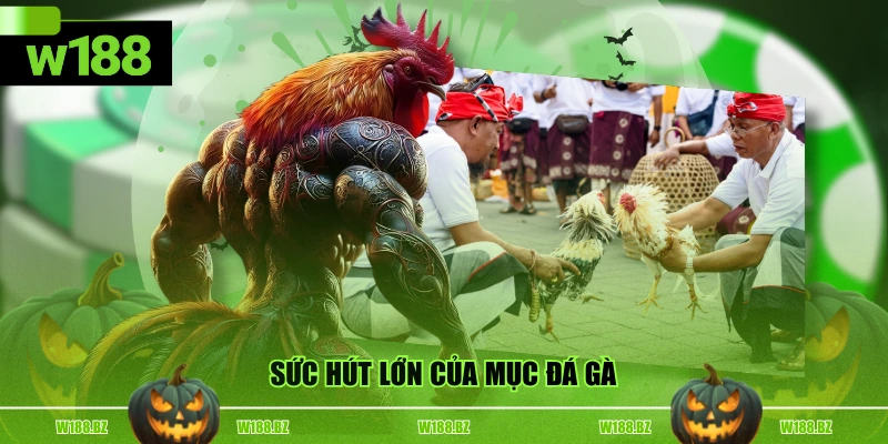Sức hút lớn của mục đá gà
