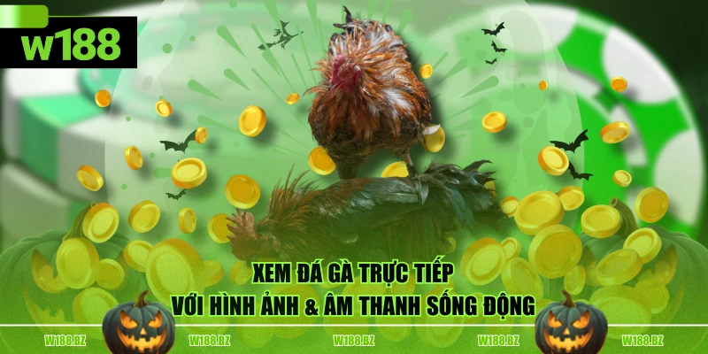 Địa Chỉ Xem Đá Gà Trực Tiếp Chất Lượng, Uy Tín Hàng Đầu 2 Xem đá gà trực tiếp với hình ảnh & âm thanh sống động